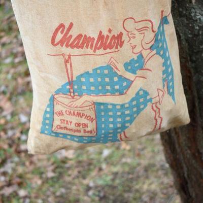 Lot O-39: Champion Vintage Clothes Pin Bag