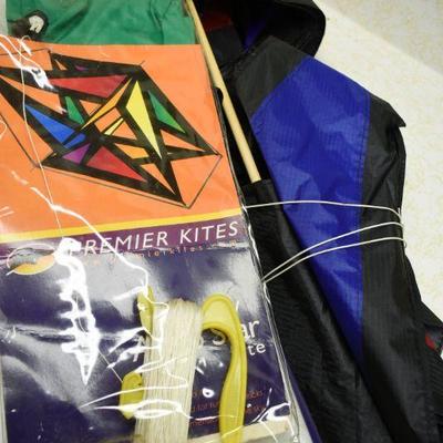 Lot B-311:  Premier Kite