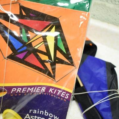 Lot B-311:  Premier Kite