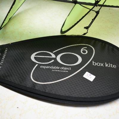 Lot B-318:  Prism Kite