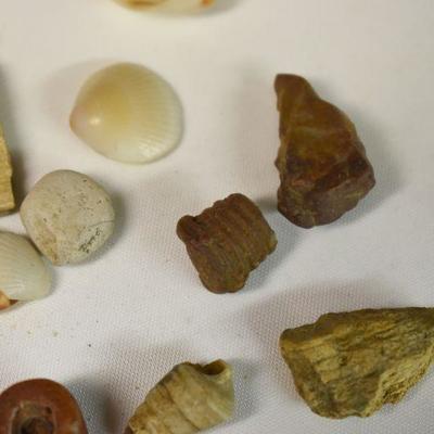 Lot B-170:  Antique Arrow Heads