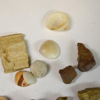 Lot B-170:  Antique Arrow Heads