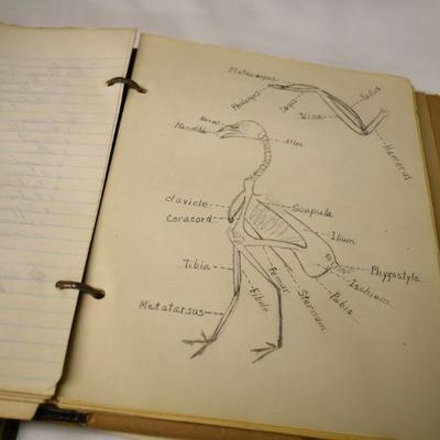 Lot B-175:  Vintage Agriculture Books