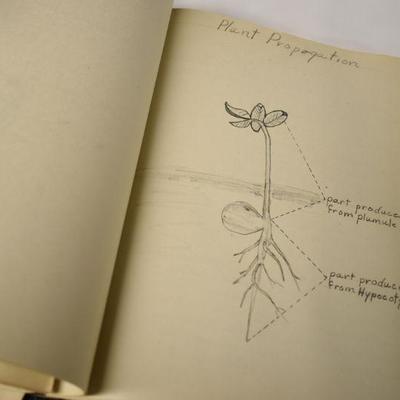 Lot B-175:  Vintage Agriculture Books