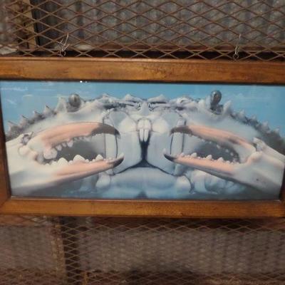 Crab Picture