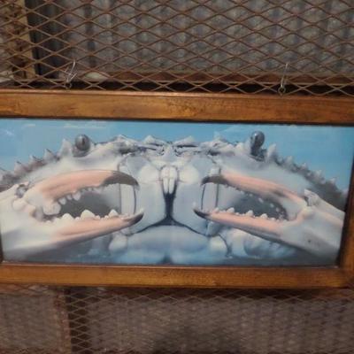 Crab Picture