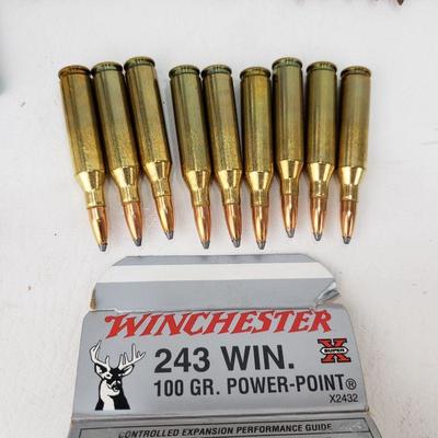 Assorted Ammunition - .38 Spcl, 30-06, 30-30, .243, .22 LR
