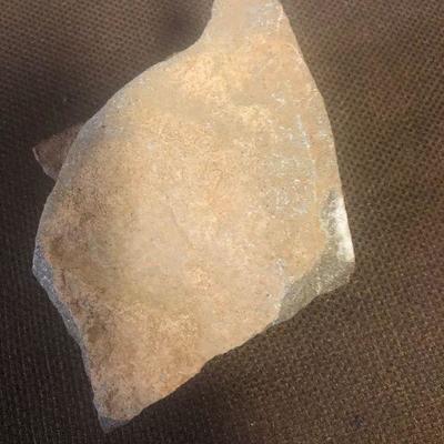 Lot # 257 Fossil in sand stone 