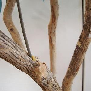 Lot 1017 B - Imitation Tree for Home or Office