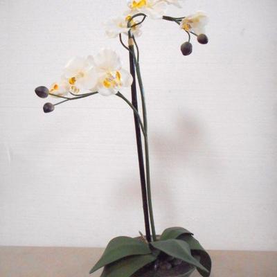 Lot 3055 - 2 Floral Arrangements Orchids + Bird of Paradise 