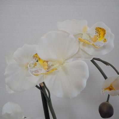 Lot 3055 - 2 Floral Arrangements Orchids + Bird of Paradise 