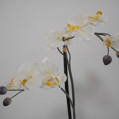 Lot 3055 - 2 Floral Arrangements Orchids + Bird of Paradise 