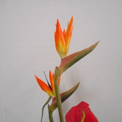 Lot 3055 - 2 Floral Arrangements Orchids + Bird of Paradise 
