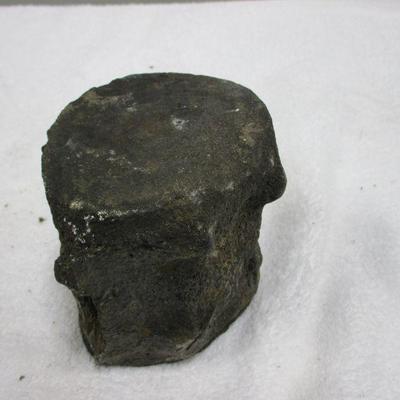 Lot 28 - Vertebrae Fossil