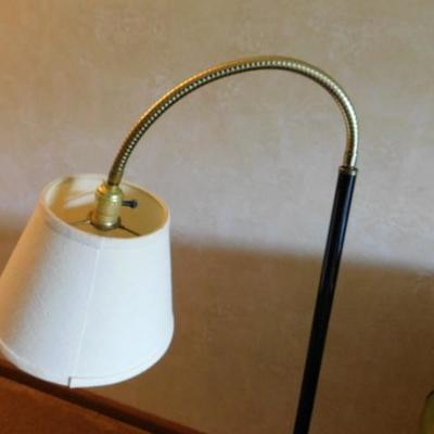 Flex Neck Floor Lamp