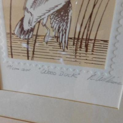 Numbered Print 20/2000 'Wood Duck' by R. Adkins Framed