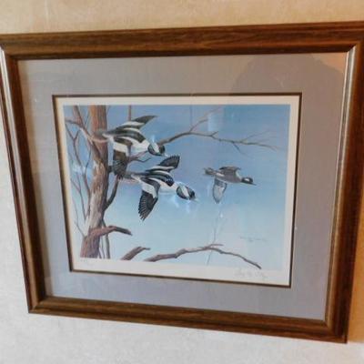 Numbered Print 1275/4200 'Wild Birds' by Dale Totty Framed 26
