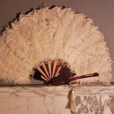 Antique Ostrich Feathers Hand Fan Tortoise shell inserts 