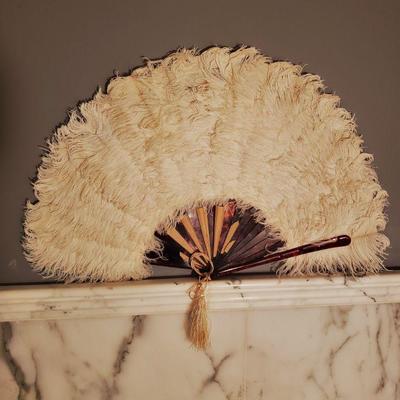 Antique Ostrich Feathers Hand Fan Tortoise shell inserts 