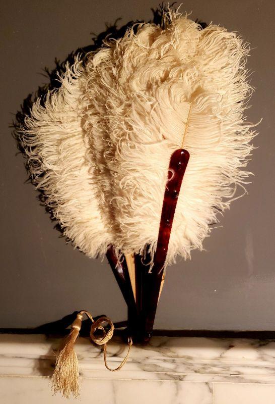 Opulent Large French Ostrich Feather and Tortoise Shell Hand Fan, 24cm –  Antiques & Uncommon Treasure