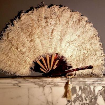 Antique Ostrich Feathers Hand Fan Tortoise shell inserts 