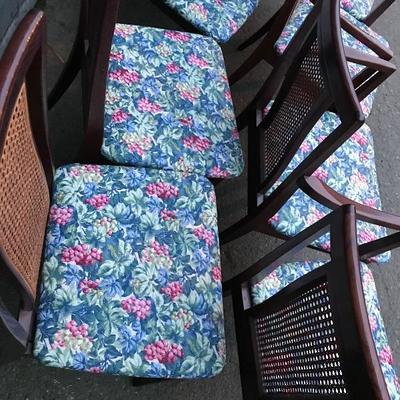 #113 - G Plan Set of 8 Wood Dining Chairs
