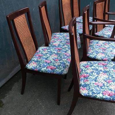 #113 - G Plan Set of 8 Wood Dining Chairs