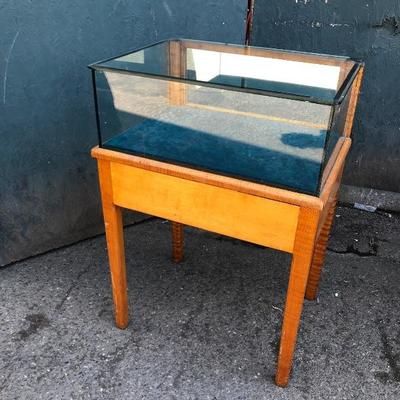 #64 - Glass Display Case w/ Velvet Lining and Wood Base
