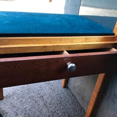 #64 - Glass Display Case w/ Velvet Lining and Wood Base