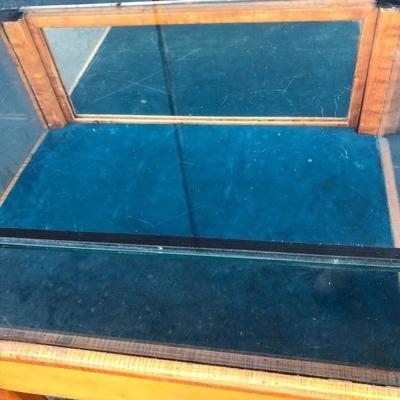 #64 - Glass Display Case w/ Velvet Lining and Wood Base