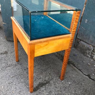 #64 - Glass Display Case w/ Velvet Lining and Wood Base