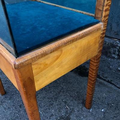 #64 - Glass Display Case w/ Velvet Lining and Wood Base