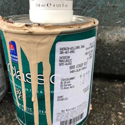 #21 - Vintage Arne Jacobsen Hand Painted Egg Chair Project and Paint 