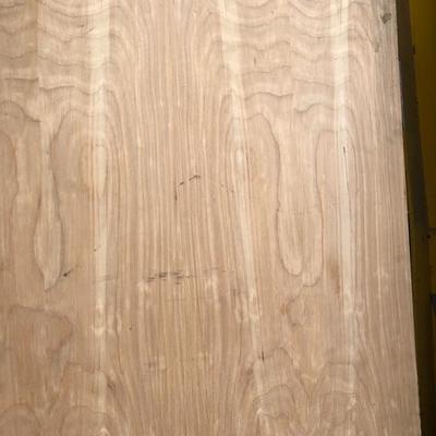#107 - 1-Hour Fire Door