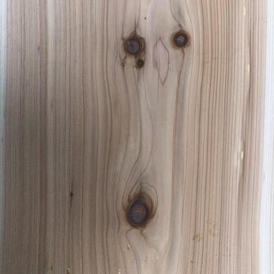 #111 - Large Unfinished Live Edge Slab