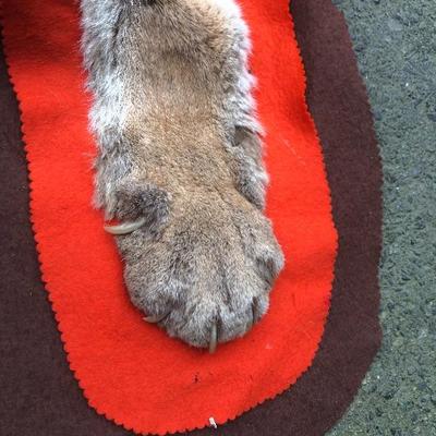 #126 - Vintage Cougar Pelt Rug on Felt