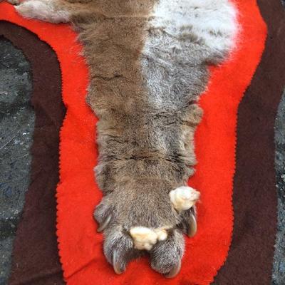 #126 - Vintage Cougar Pelt Rug on Felt