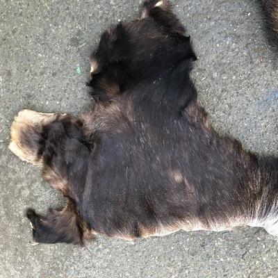 #12 - Group of Three Small Thick Pelts