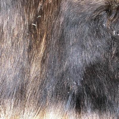#12 - Group of Three Small Thick Pelts