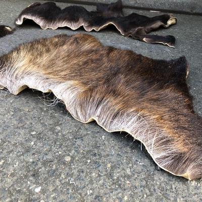 #12 - Group of Three Small Thick Pelts