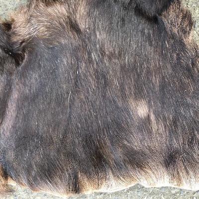 #12 - Group of Three Small Thick Pelts