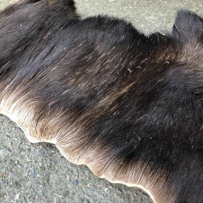 #12 - Group of Three Small Thick Pelts