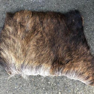 #12 - Group of Three Small Thick Pelts
