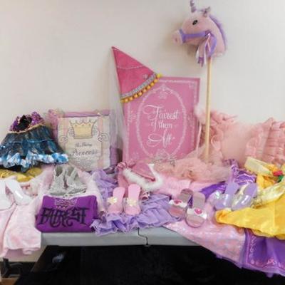 Lot 610 - Princess Goodies - Shoes, Pillows, Signs, etc.