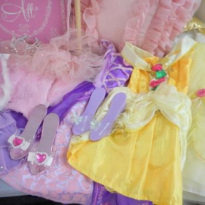 Lot 610 - Princess Goodies - Shoes, Pillows, Signs, etc.
