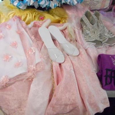 Lot 610 - Princess Goodies - Shoes, Pillows, Signs, etc.