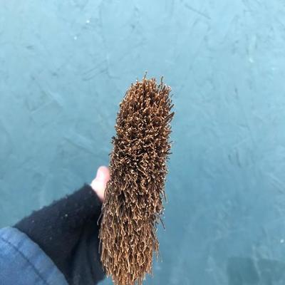 #136 - Grey Ceramic Lamp, Artist's Clothes Pins, Wood Serving Tray, Various Home Goods 