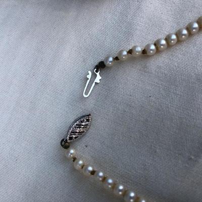 #152 - Large Lot of Antique Accessories