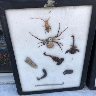 #32 - Reverse Glass Painting with Butterfly Wings, Other Art, and Two Glass Sets