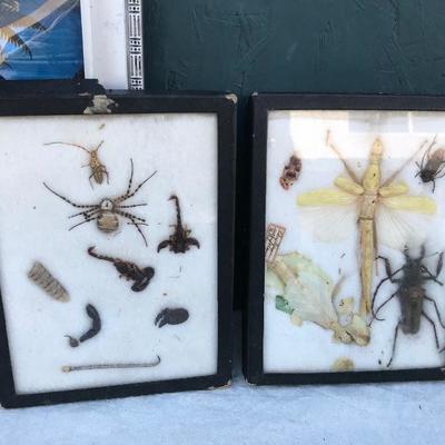 #32 - Reverse Glass Painting with Butterfly Wings, Other Art, and Two Glass Sets